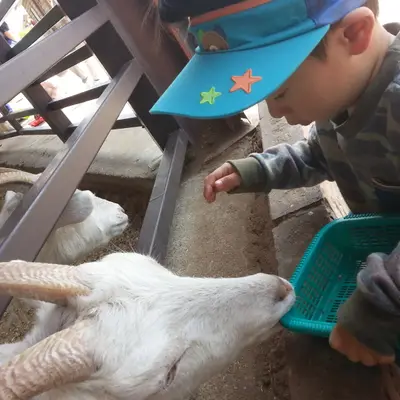 2017년 봄날의 농장 나들이