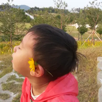 푸른 잔디밭에서