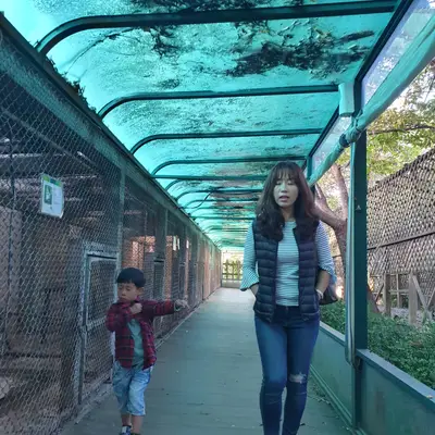 가족 산책 이야기
