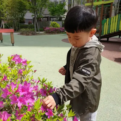 봄날의 소소한 기록